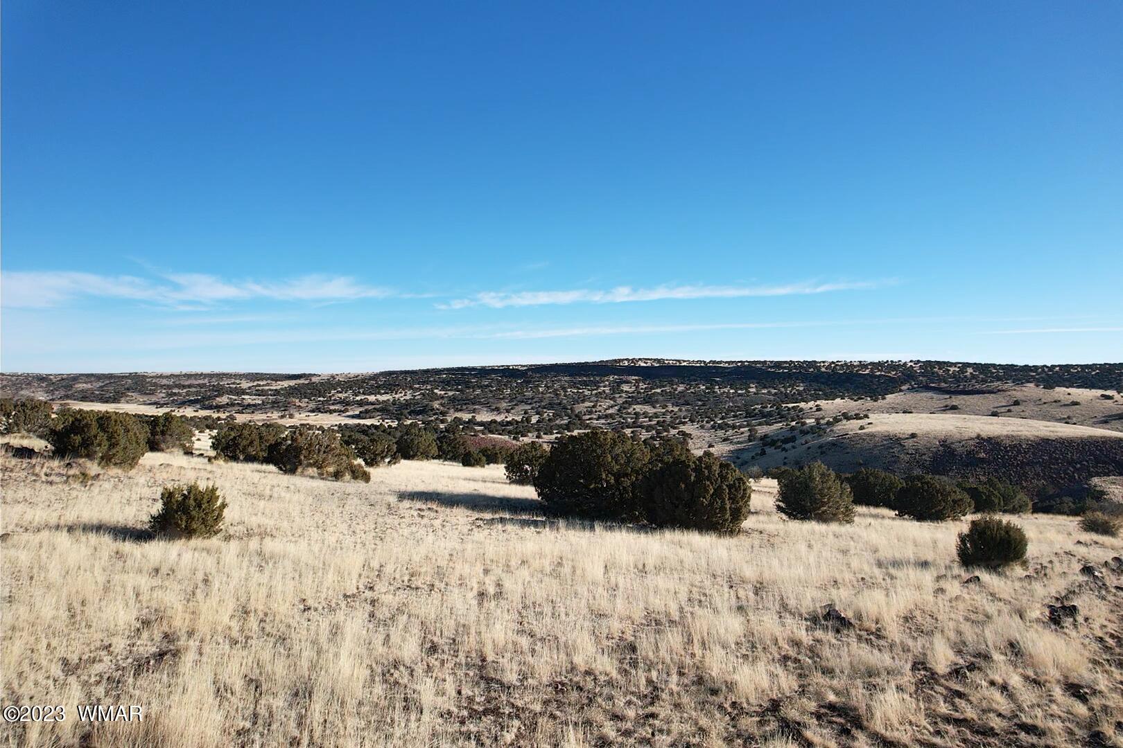 Six Ranches Concho Az 85924 Concho, AZ 85924 - Photo 5 of 19