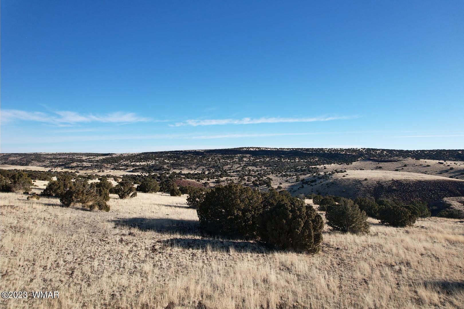 Six Ranches Concho Az 85924 Concho, AZ 85924 - Photo 6 of 19