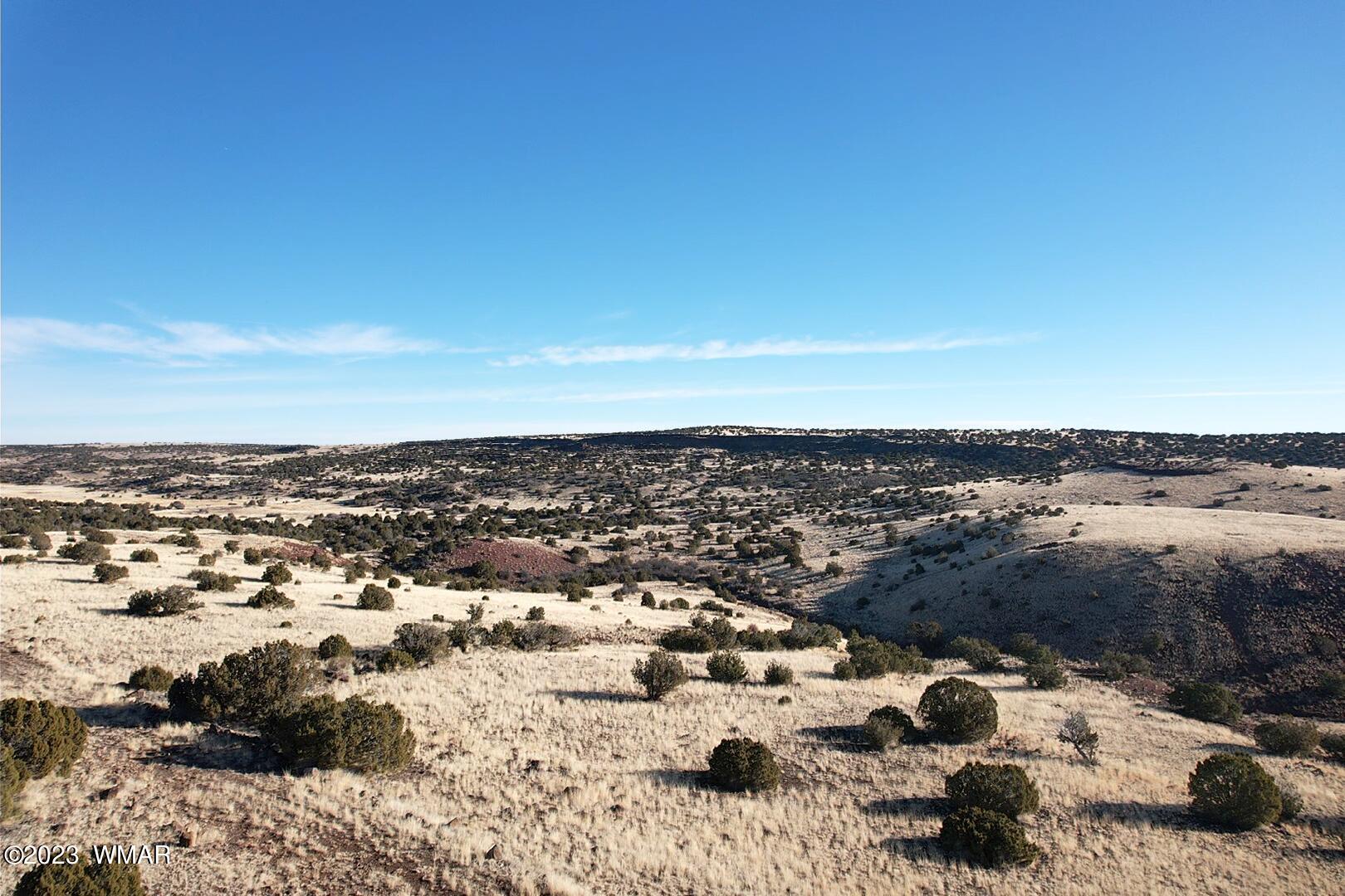 Six Ranches Concho Az 85924 Concho, AZ 85924 - Photo 7 of 19