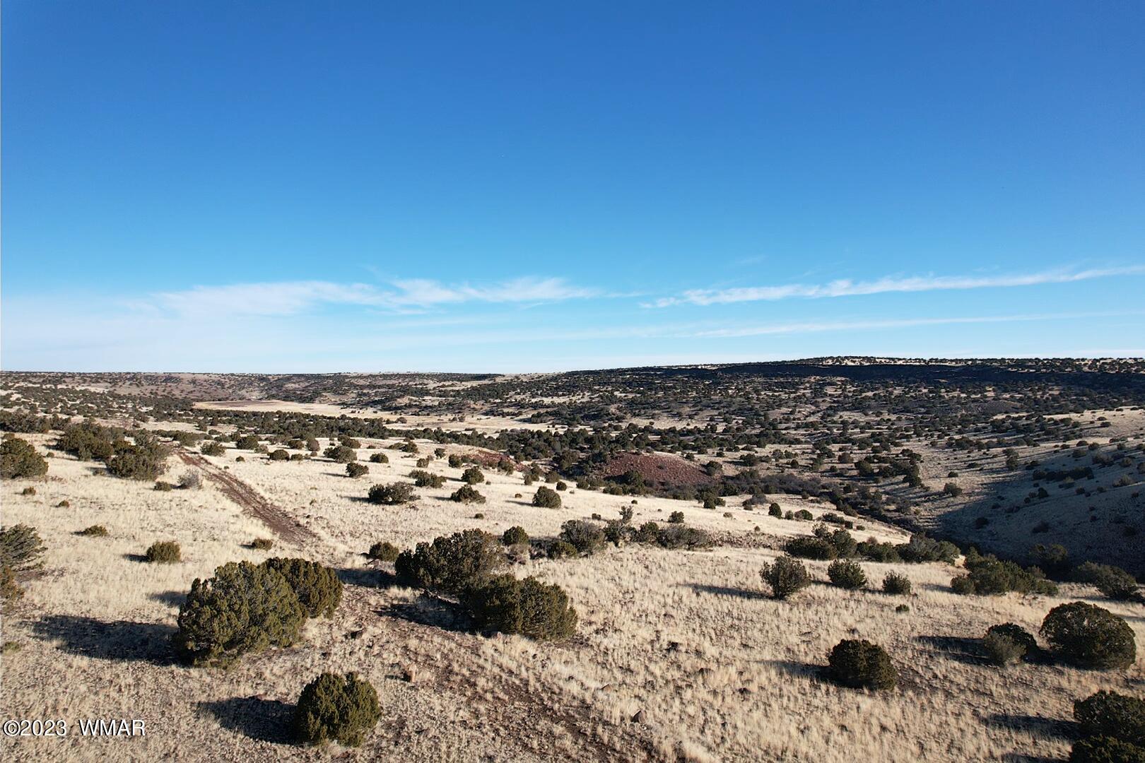 Six Ranches Concho Az 85924 Concho, AZ 85924 - Photo 8 of 19