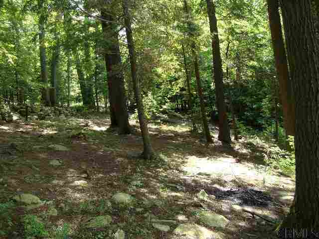 176 North Shore Road Grafton, NY 12138 - Photo 7 of 8 Photo 7