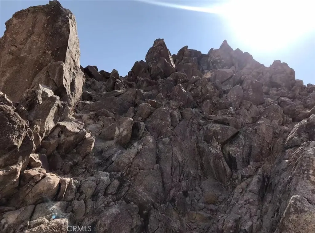100 Split Mountain Road Los Angeles, CA 90024 - Photo 11 of 12 a view of a large tree in a field with a tree in the background