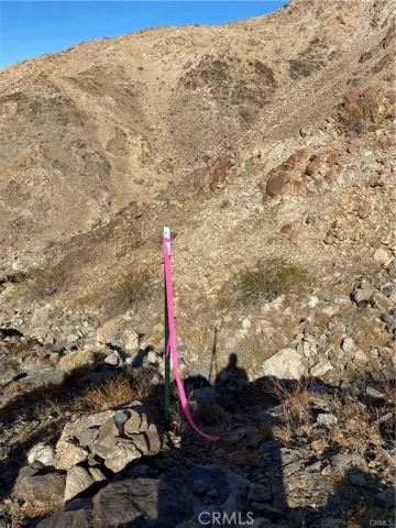 a view of a balcony with a tree