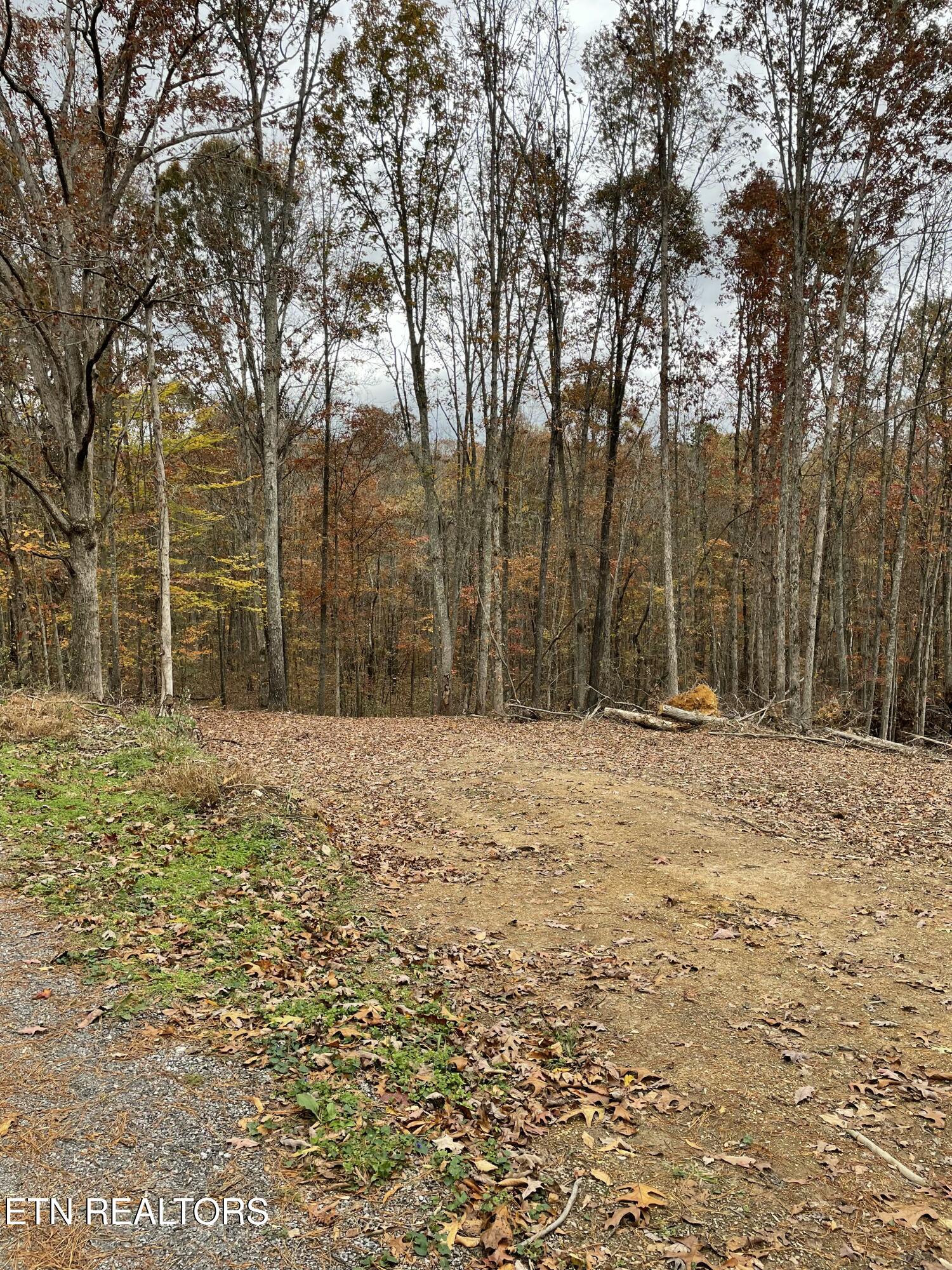 300 Ivy Moore Circle Decatur, TN 37322 - Photo 2 of 12 Ivy Moore 2