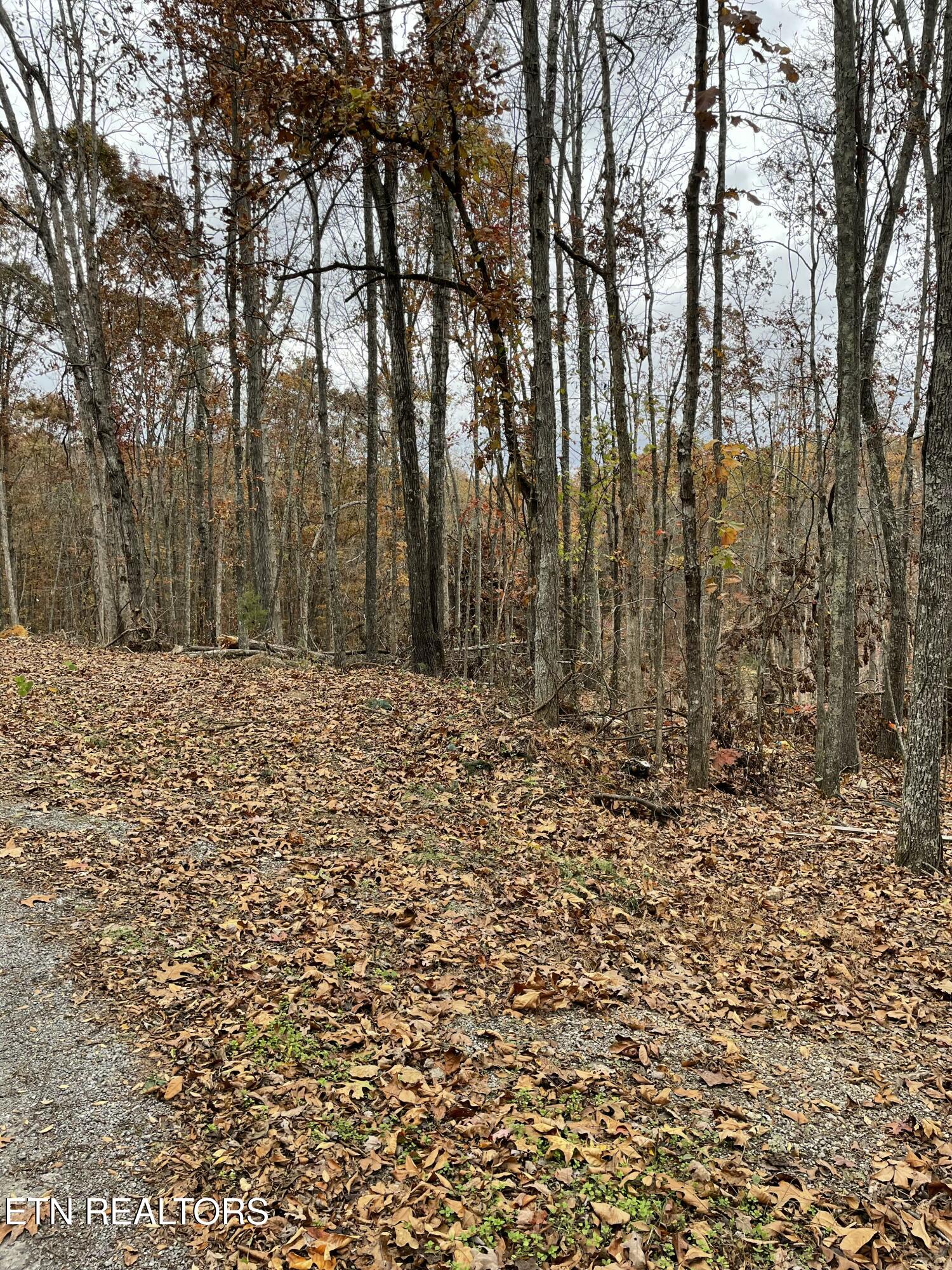 300 Ivy Moore Circle Decatur, TN 37322 - Photo 8 of 12 Ivy Moore 9