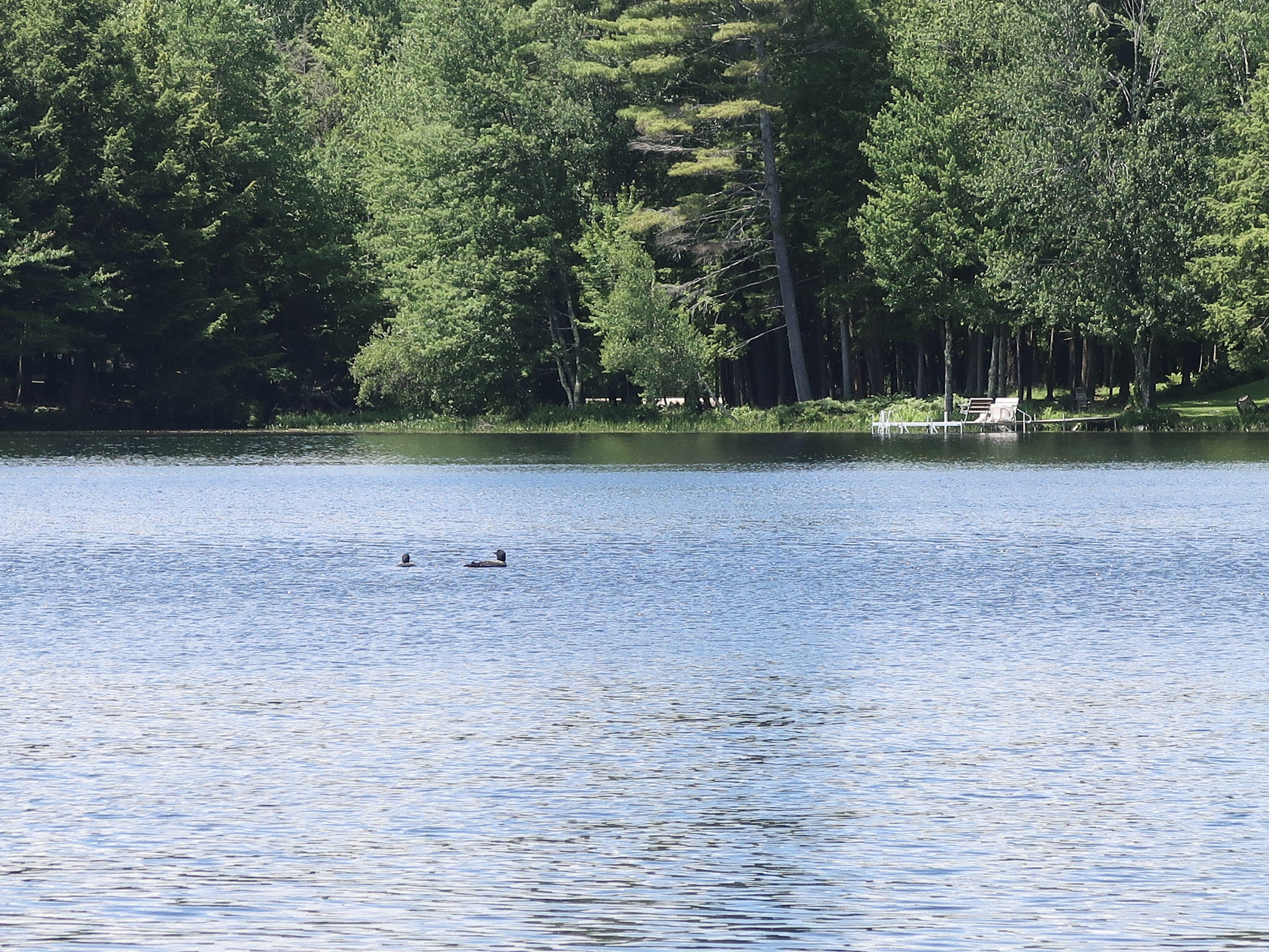 16 Lovejoy Lane Readfield, ME 04355 - Photo 55 of 63