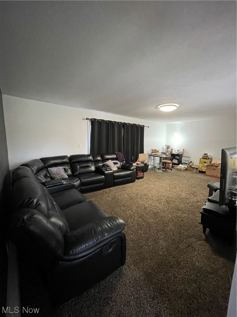 3792 Newbury Road Little Hocking, OH 45742 - Photo 31 of 46 Living room featuring carpet floors
