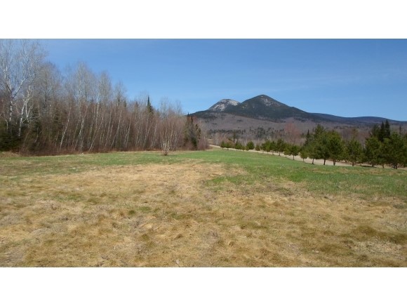 Lot 78.4 Log Hauler Road Stark, NH 03582 - Photo 2 of 27
