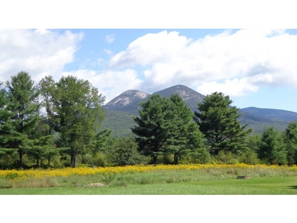 Lot 78.4 Log Hauler Road Stark, NH 03582 - Photo 24 of 27