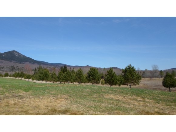 Lot 78.4 Log Hauler Road Stark, NH 03582 - Photo 4 of 27