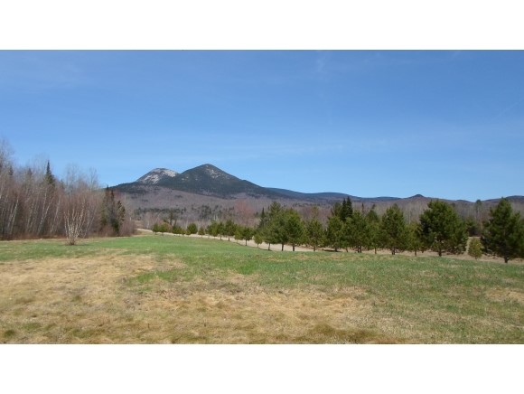 Lot 78.4 Log Hauler Road Stark, NH 03582 - Photo 5 of 27