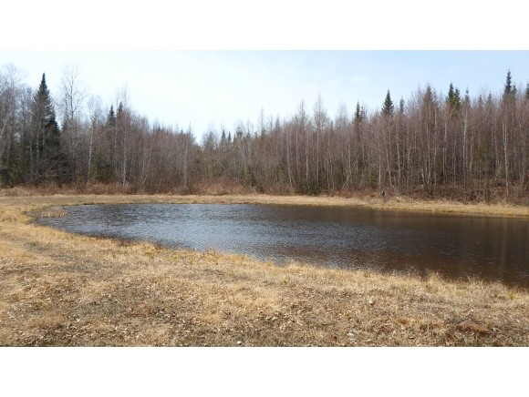 Lot 78.4 Log Hauler Road Stark, NH 03582 - Photo 8 of 27