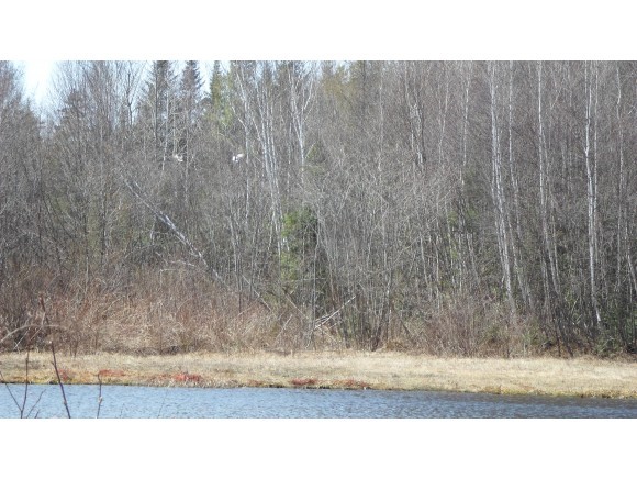 Lot 78.4 Log Hauler Road Stark, NH 03582 - Photo 10 of 27