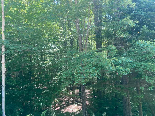 $215,000 | 21 Northwood Estates, Grafton, NH 03240