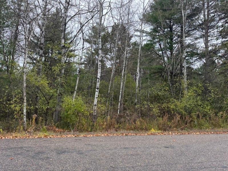 Lot On Pineview Drive Rhinelander, WI 54501 - Photo 5 of 7 Gallery Image 5