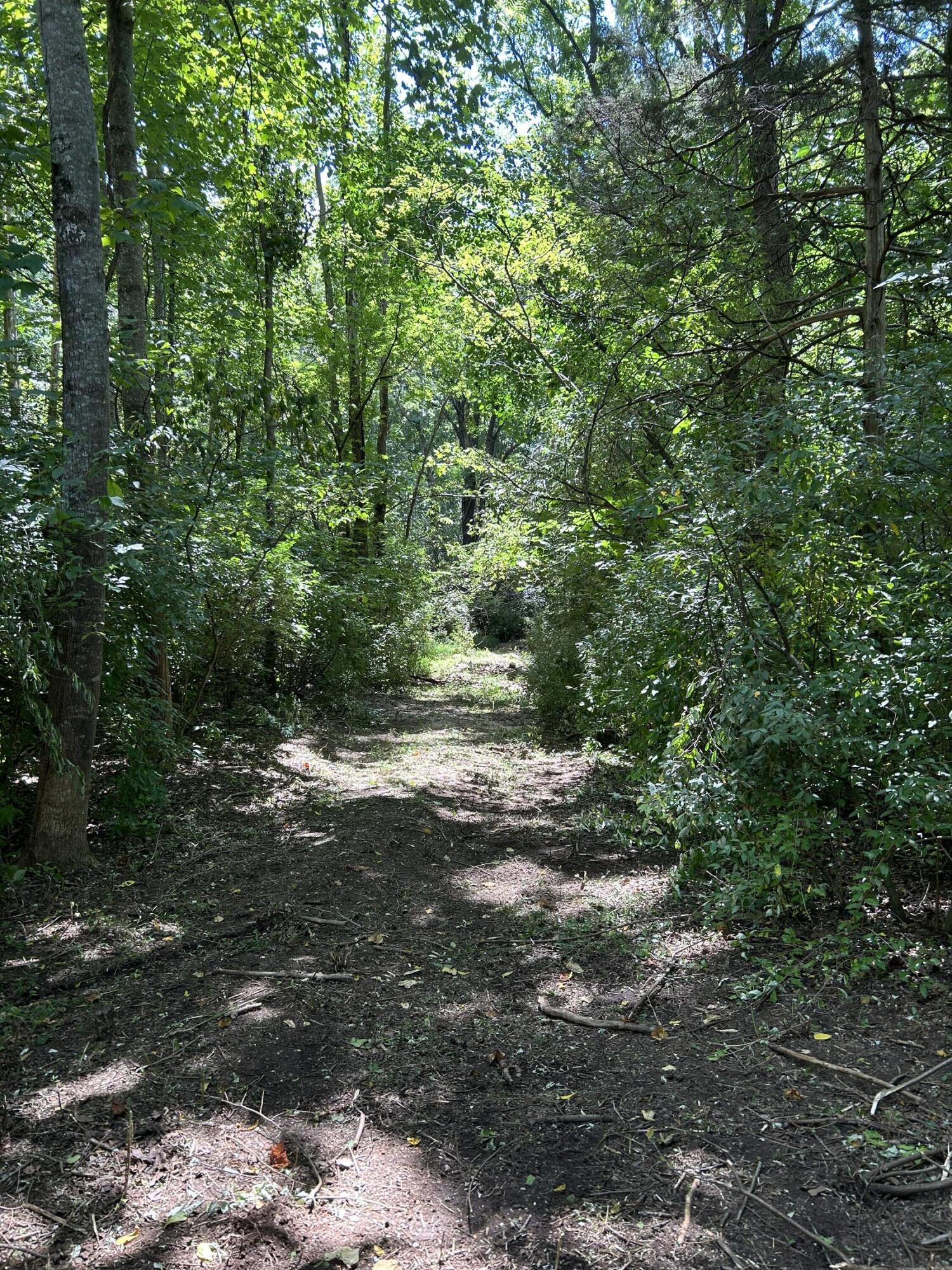 0 Gorge Road Buchanan, VA 24066 - Photo 1 of 13 a view of outdoor space and trees