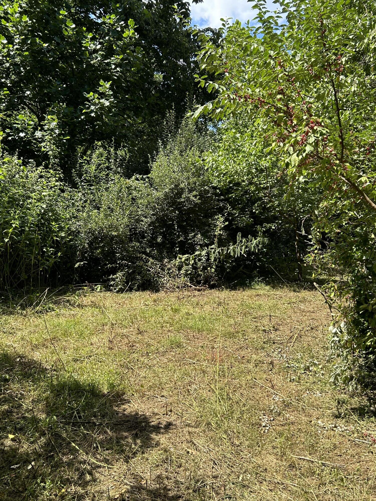 0 Gorge Road Buchanan, VA 24066 - Photo 13 of 13 a view of lake view