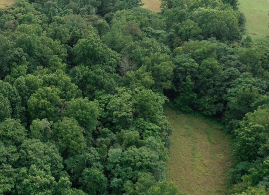 0 Gorge Road Buchanan, VA 24066 - Photo 2 of 13 an aerial view of a forest with houses