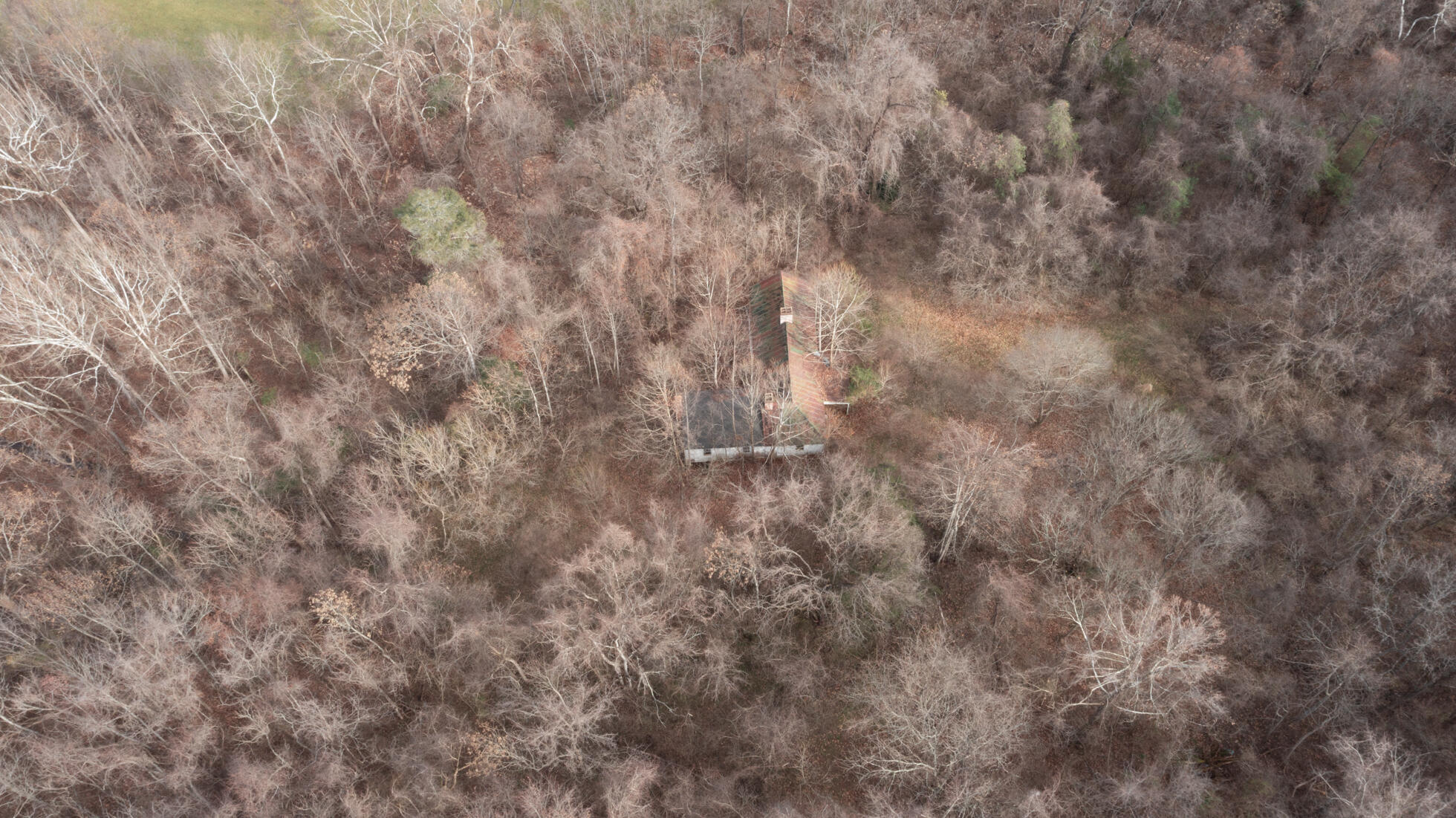 0 Gorge Road Buchanan, VA 24066 - Photo 4 of 13