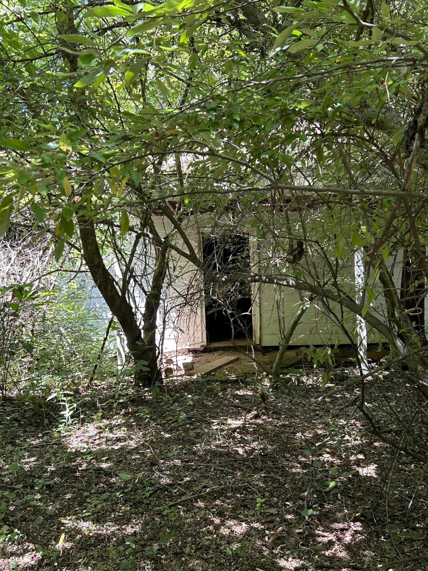 0 Gorge Road Buchanan, VA 24066 - Photo 6 of 13 a backyard of a house with lots of plants and large trees