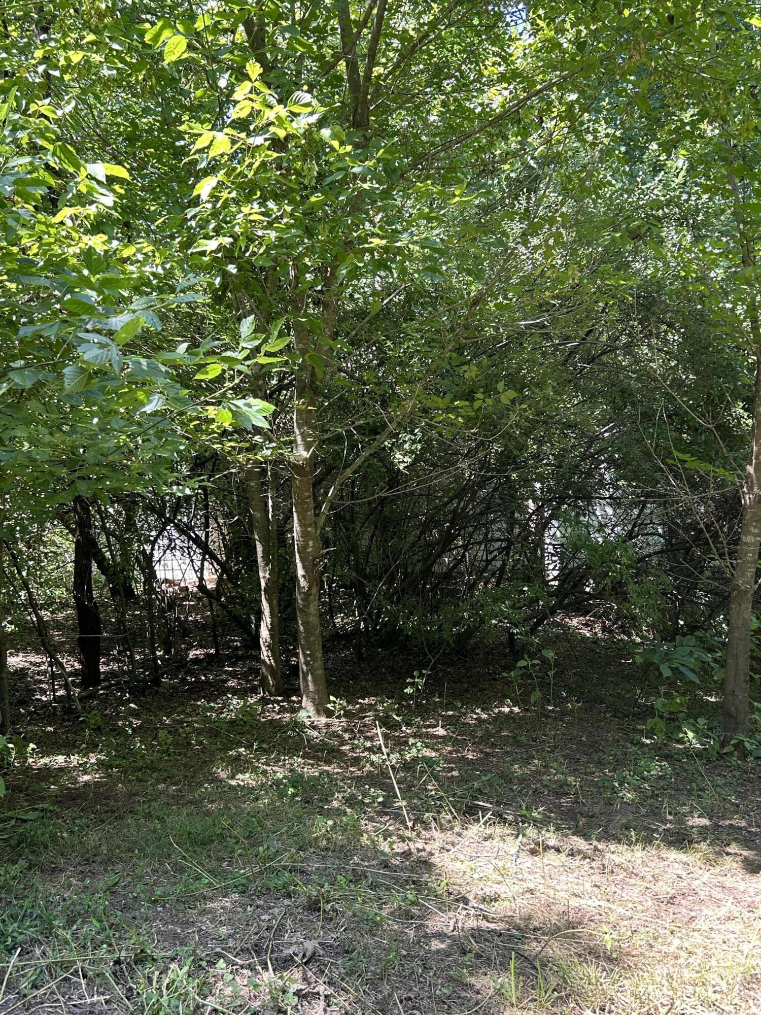 0 Gorge Road Buchanan, VA 24066 - Photo 7 of 13