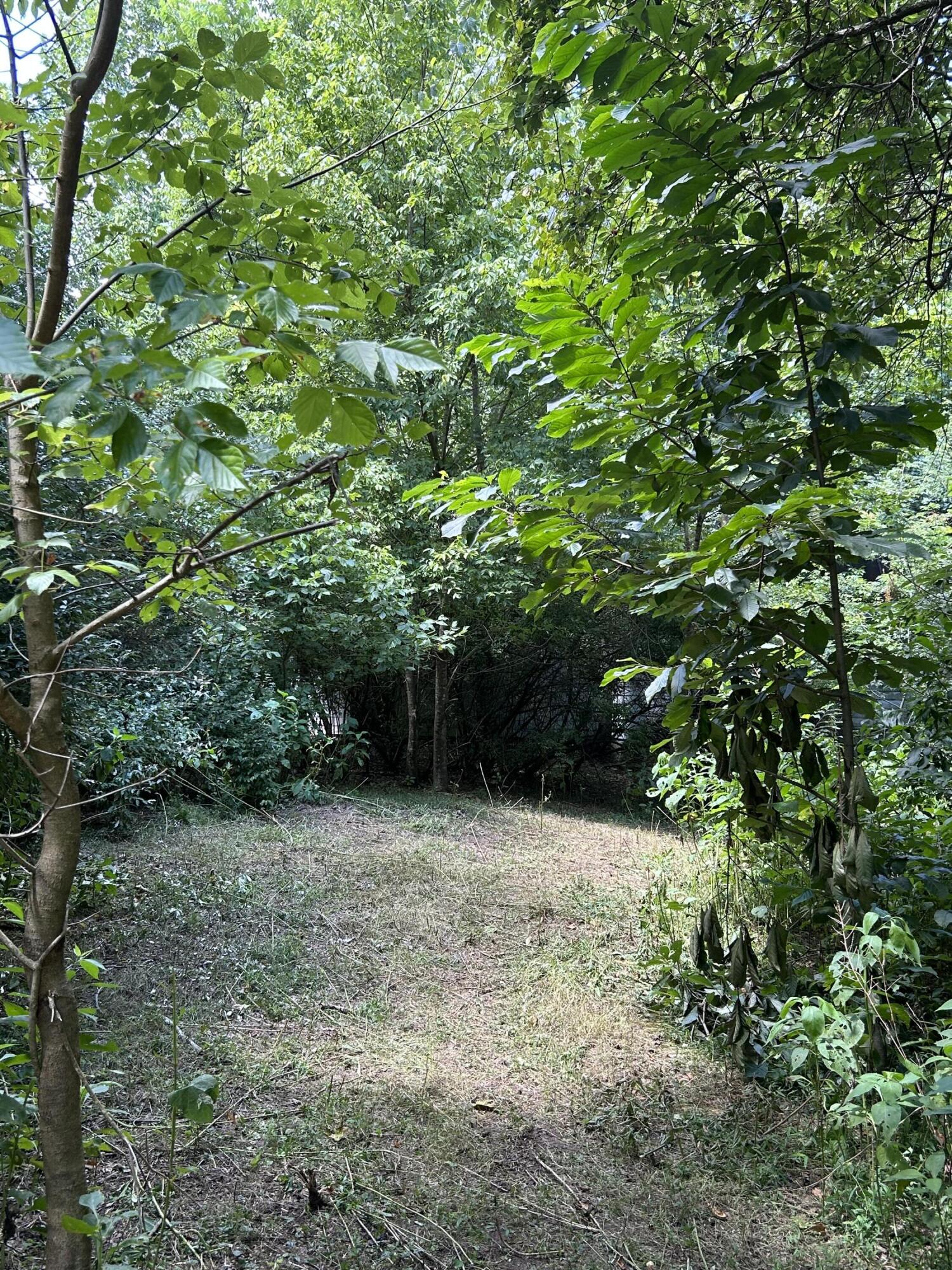 0 Gorge Road Buchanan, VA 24066 - Photo 9 of 13 a view of basketball court