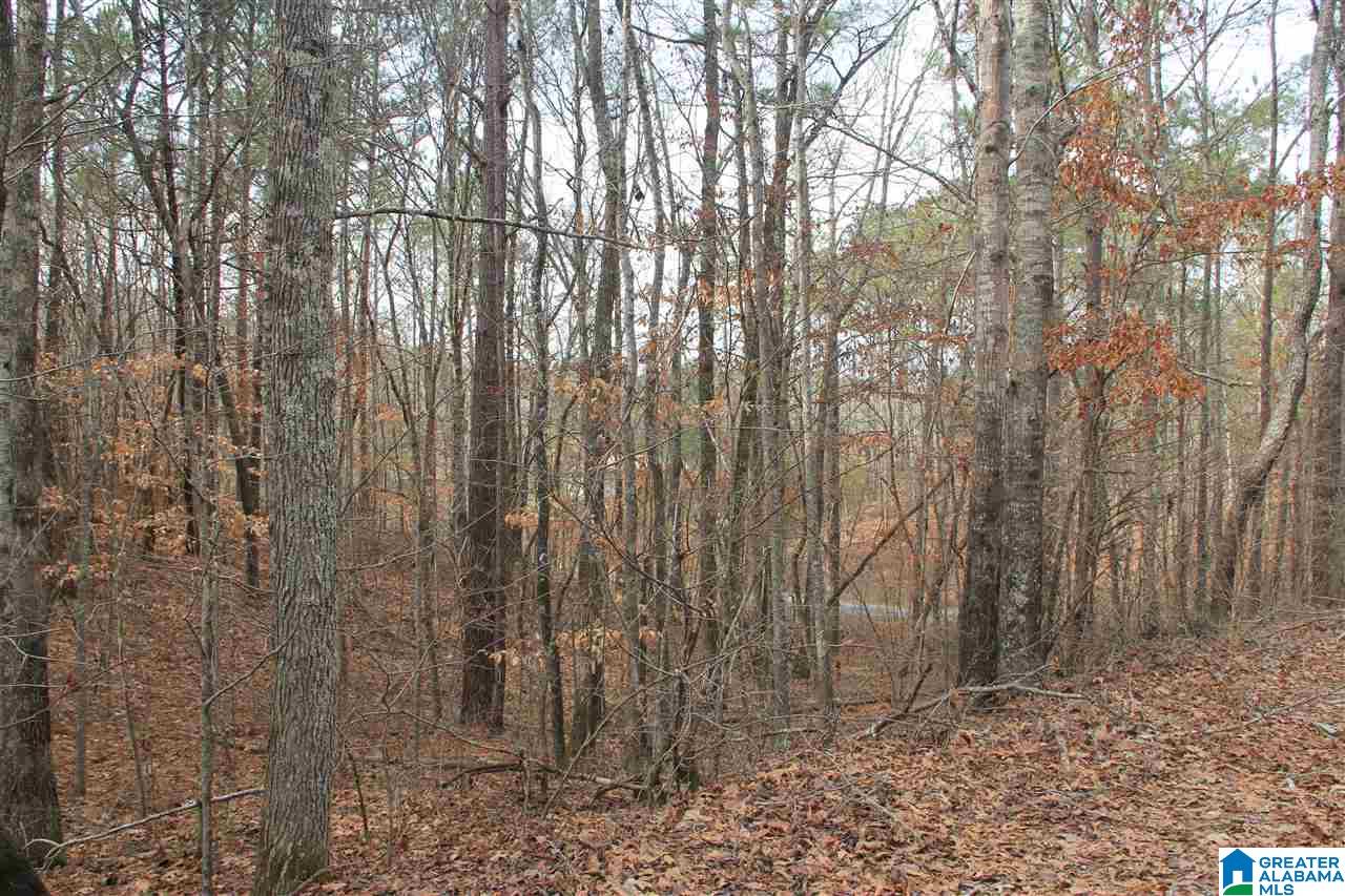 400 Eagle Lane Riverside, AL 35135 - Photo 4 of 8