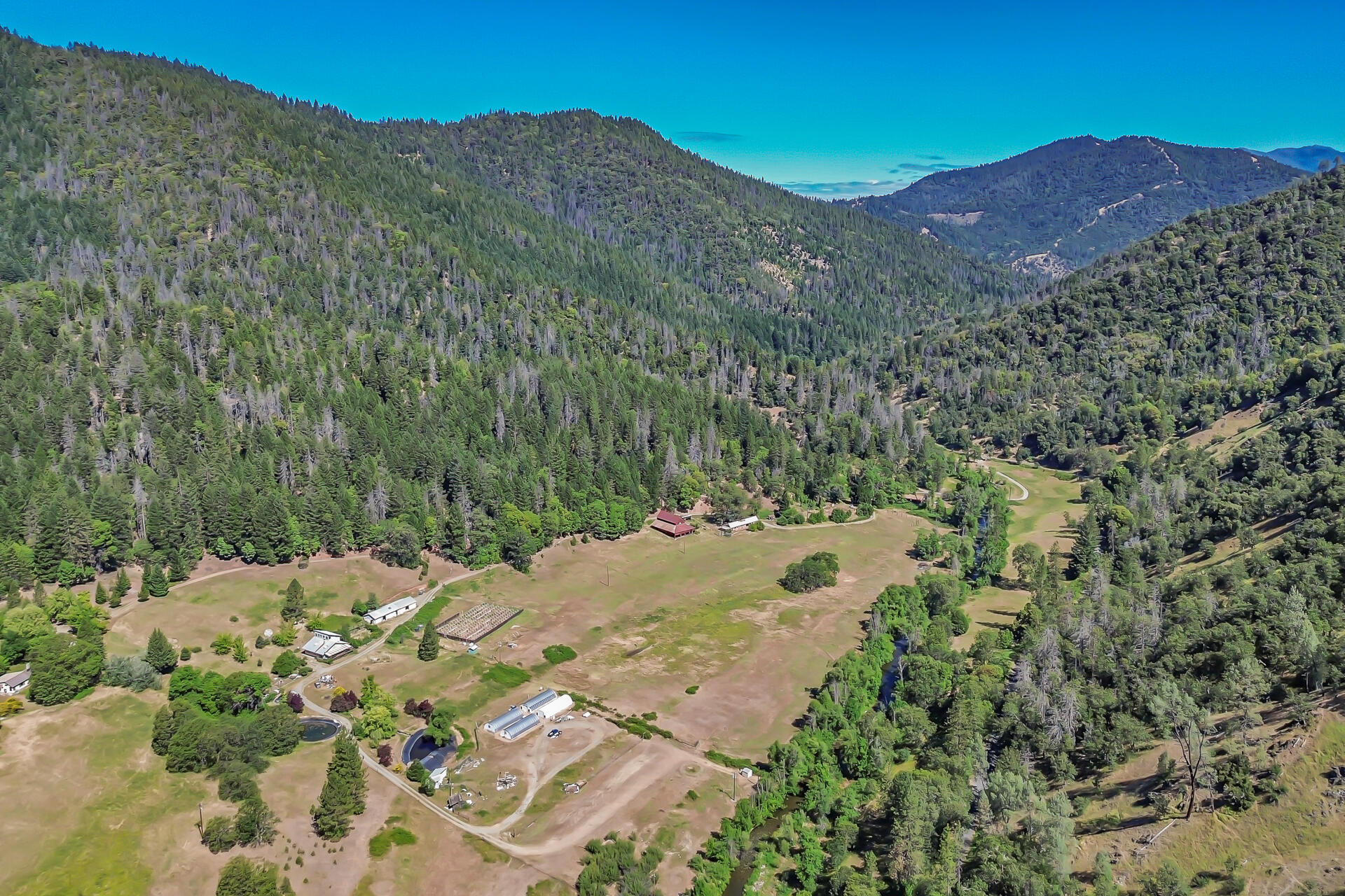 351 B-Bar-K Road Douglas City, CA 96024 - Photo 40 of 77 351BBarKRanchRoad-47