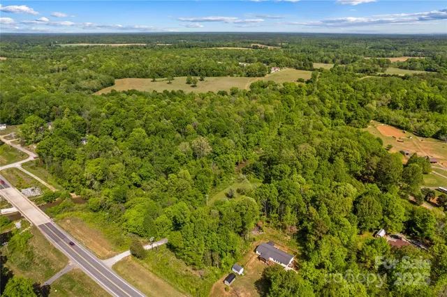 a view of a city with lush green forest