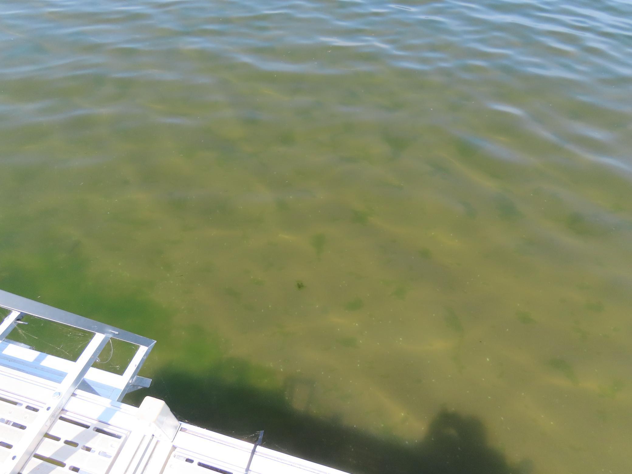 7582 Tailor Road Onamia, MN 56359 - Photo 33 of 54