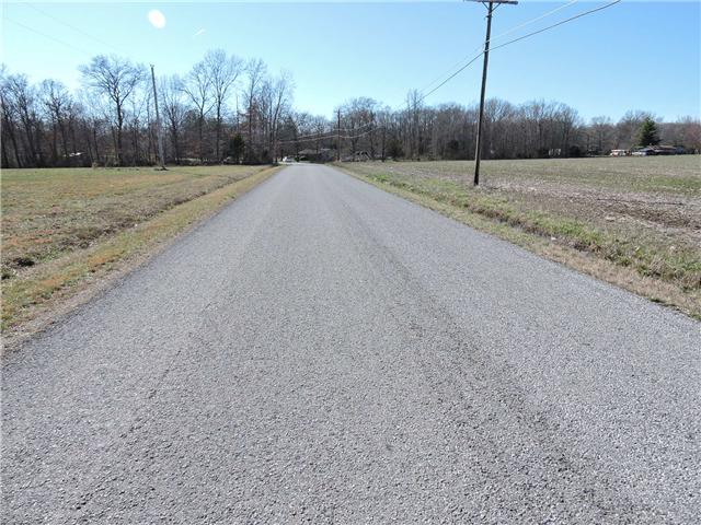 7 Boynton Valley Road Manchester, TN 37355 - Photo 3 of 4 Road frontage