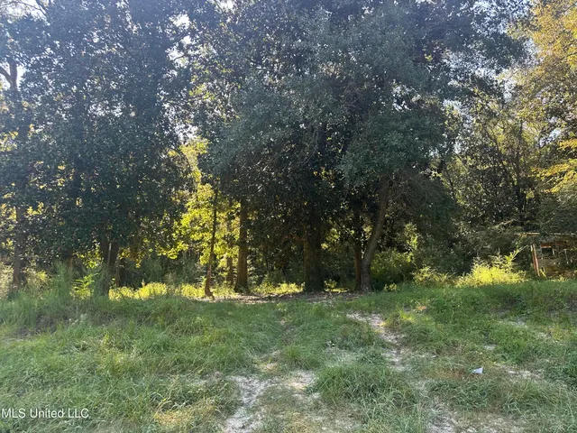 $299,000 | M M Cochran Road, Lucedale, MS 39452