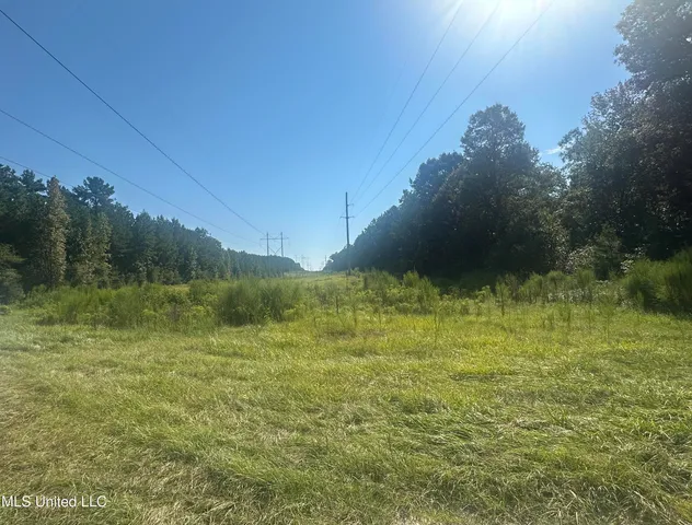 $299,000 | M M Cochran Road, Lucedale, MS 39452