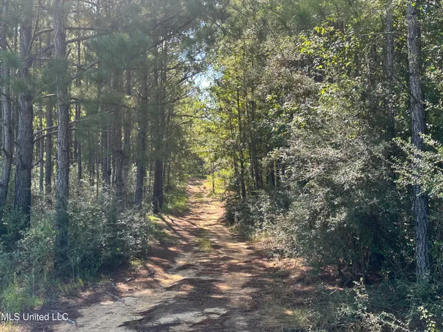 $299,000 | M M Cochran Road, Lucedale, MS 39452