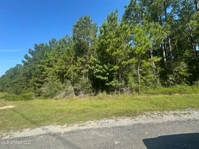 $299,000 | M M Cochran Road, Lucedale, MS 39452