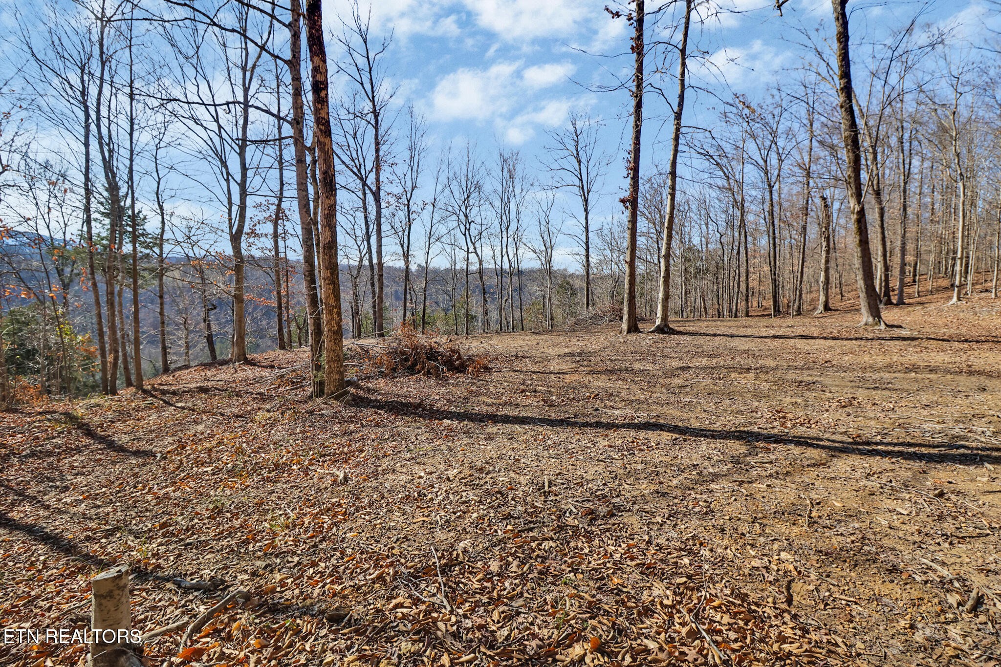 5031 Robbinstown Road Byrdstown, TN 38549 - Photo 39 of 60 Gallery Image 39