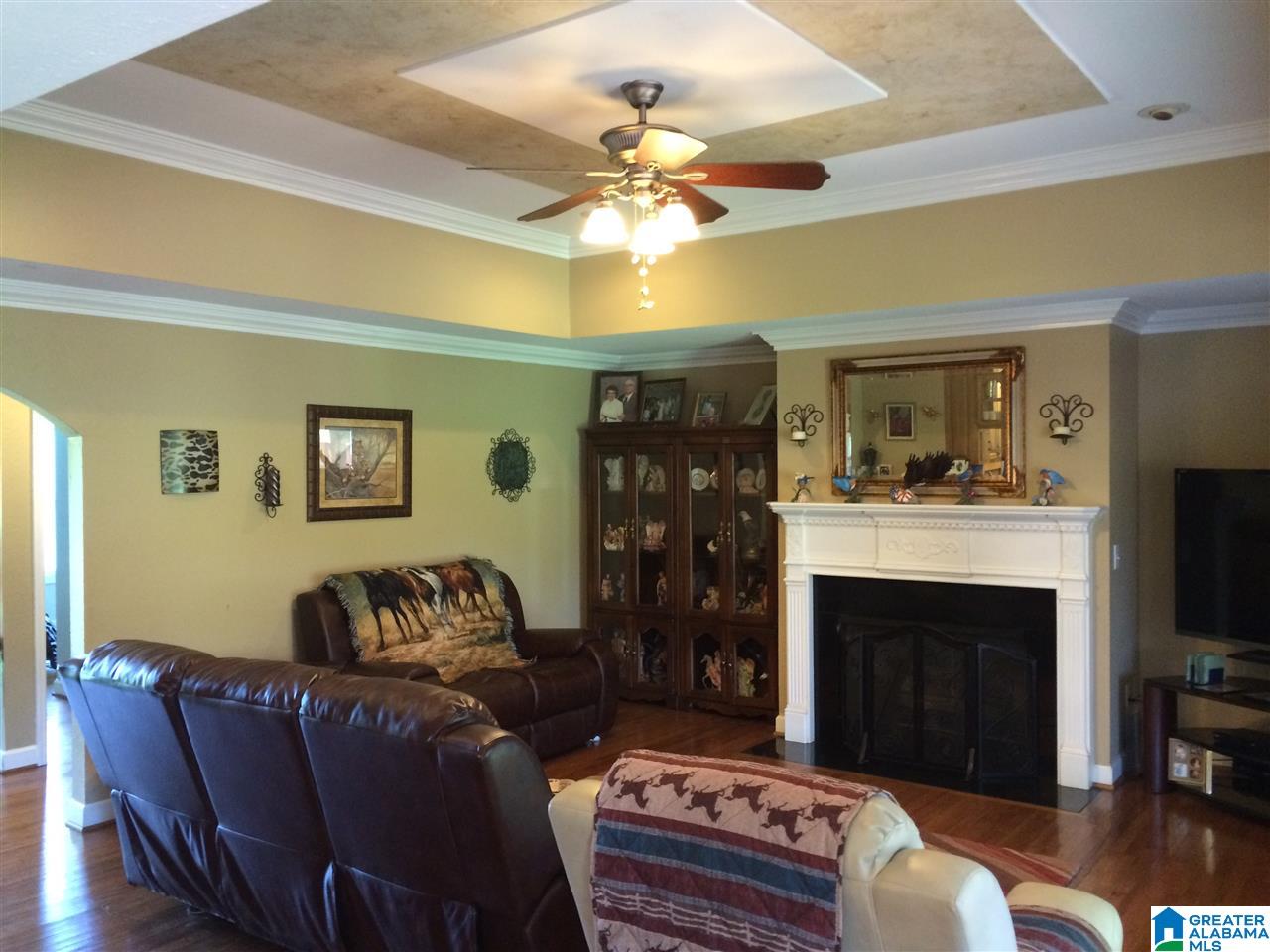 3134 Pine Mountain Road Remlap, AL 35133 - Photo 4 of 44 Gallery Image 4