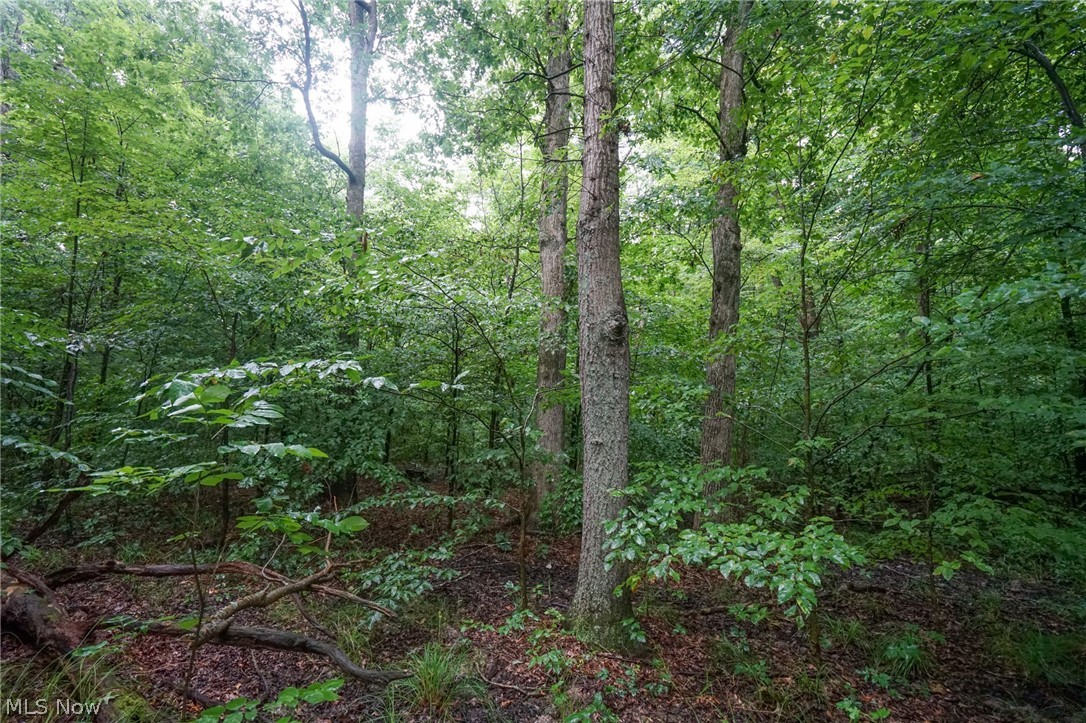 Duncanson Road Sardinia, OH 45171 - Photo 9 of 50 Gallery Image 9
