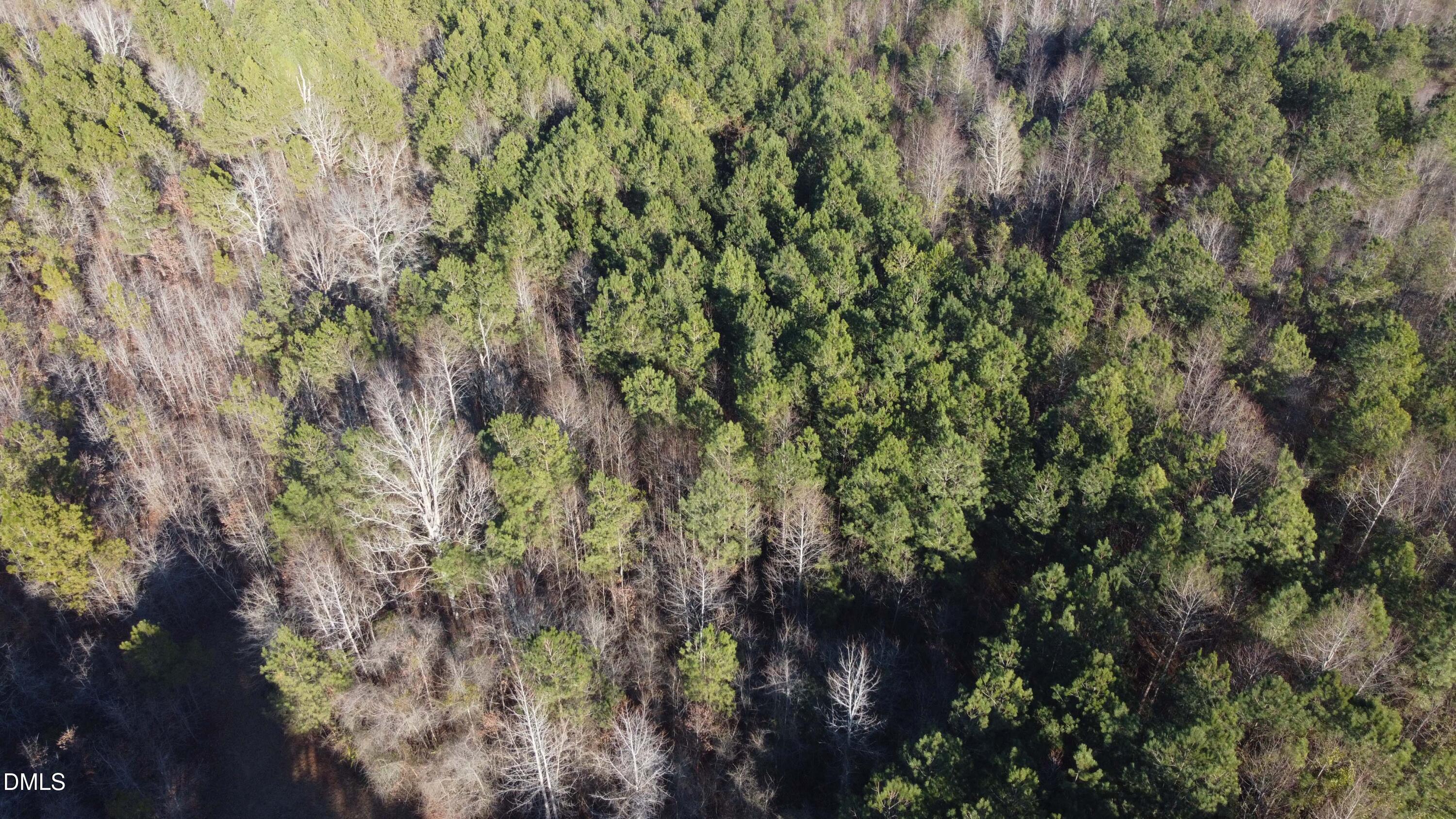 Lot 7 Docs Road Lillington, NC 27546 - Photo 4 of 4 Gallery Image 4