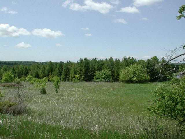 Lot 1 High Plateau Road Baileys Harbor, WI 54202 - Photo 1 of 1 Main View