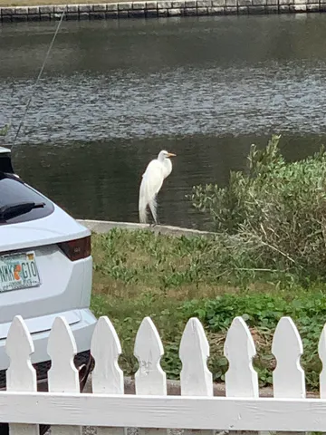 $2,850 | 67 Park Place, St. Augustine, FL 32084