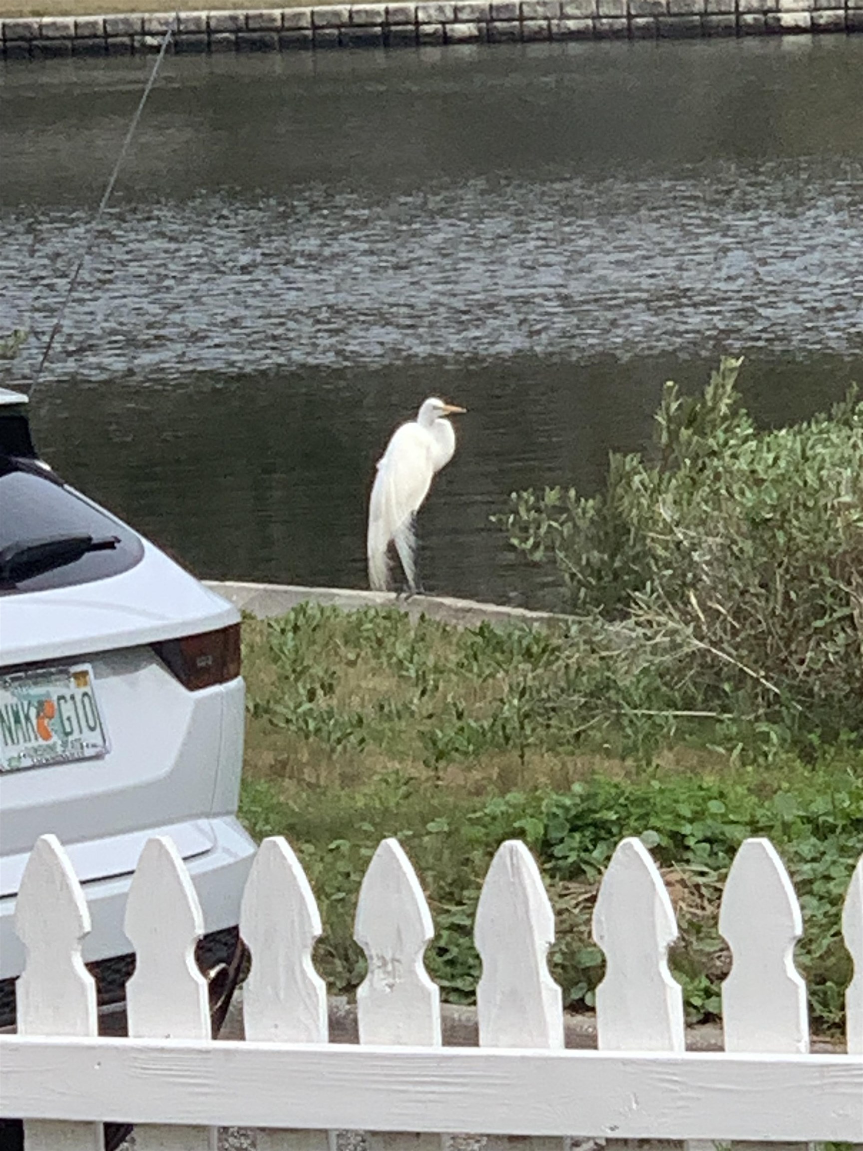 67 Park Place St. Augustine, FL 32084 - Photo 64 of 69