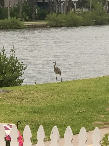 $2,850 | 67 Park Place, St. Augustine, FL 32084