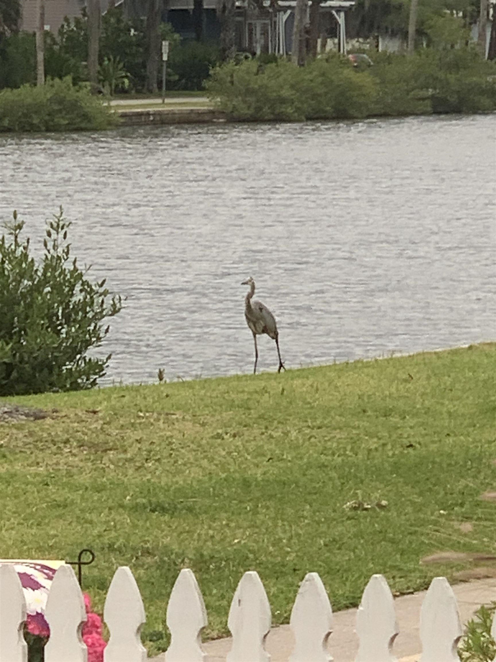 67 Park Place St. Augustine, FL 32084 - Photo 66 of 69 a view of a lake with outdoor space