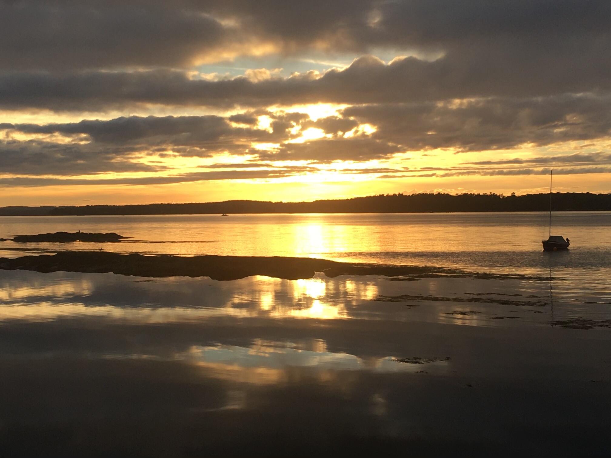 12 Merganser Way Freeport, ME 04032 - Photo 82 of 84 IMG_3661