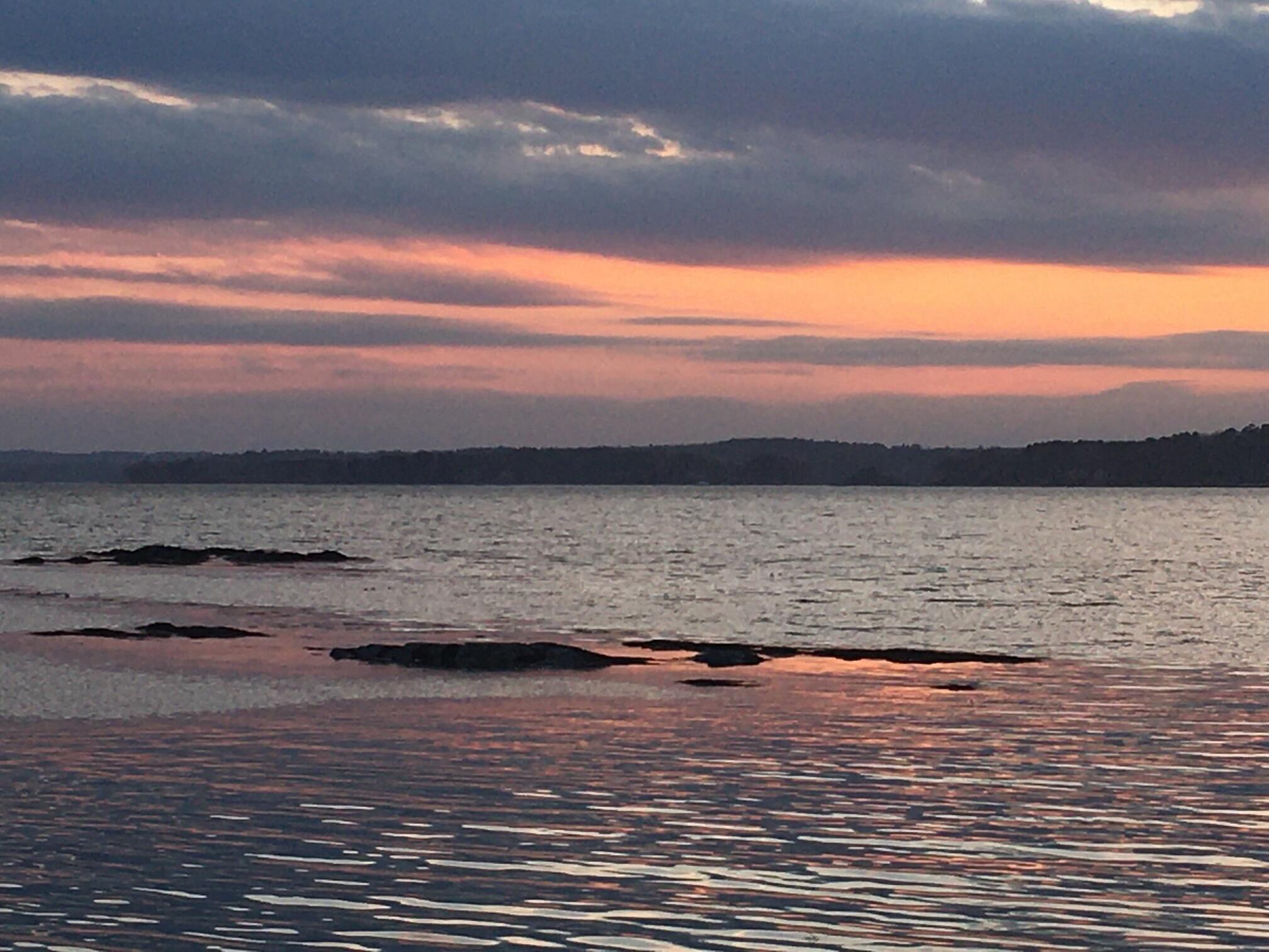 12 Merganser Way Freeport, ME 04032 - Photo 84 of 84 IMG_1138