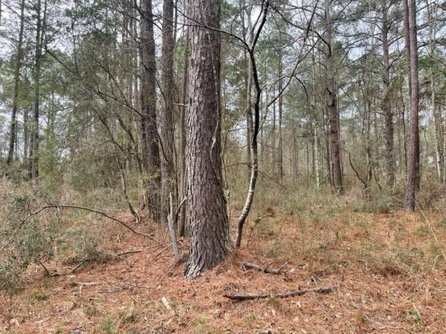 0 Carmel-New Hope Road Jayess, MS 39641 - Photo 1 of 37 Main View