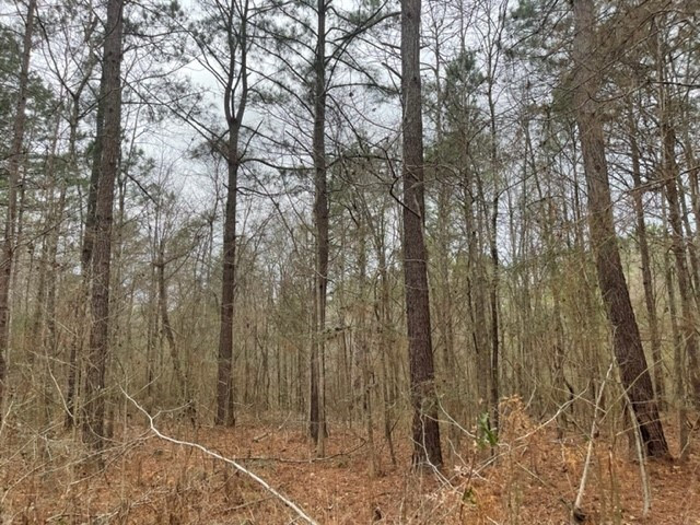 0 Carmel-New Hope Road Jayess, MS 39641 - Photo 20 of 37 Photo 20