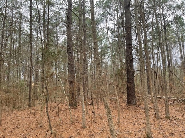 0 Carmel-New Hope Road Jayess, MS 39641 - Photo 23 of 37 Photo 23