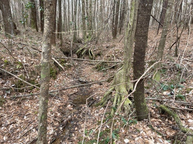 0 Carmel-New Hope Road Jayess, MS 39641 - Photo 25 of 37 Photo 25